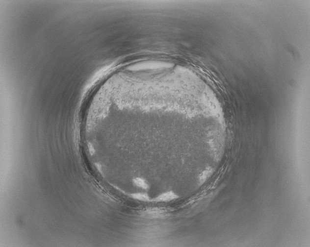X0000115490149200912181410