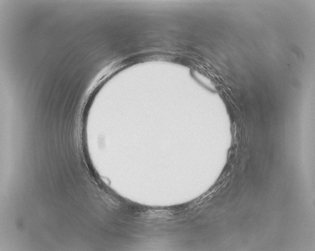 X0000115490150200912181410