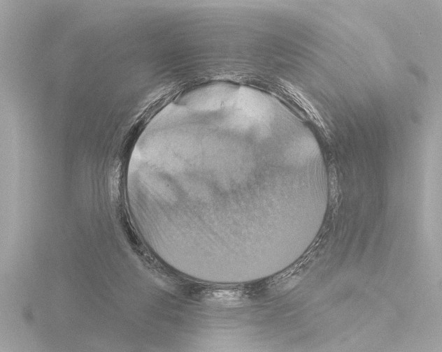 X0000115490163200912181410