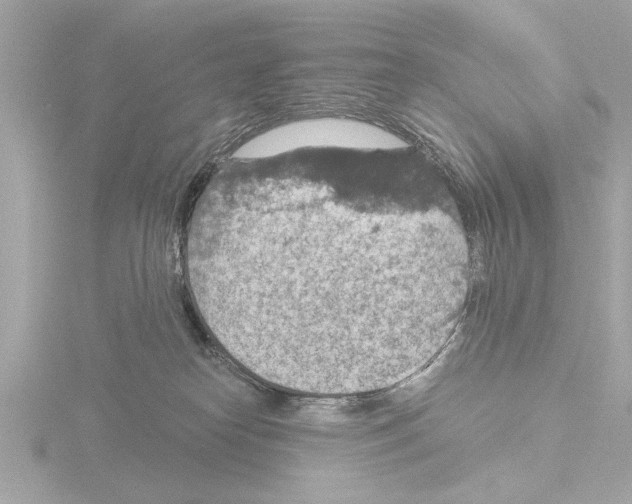 X0000115490182200912181411