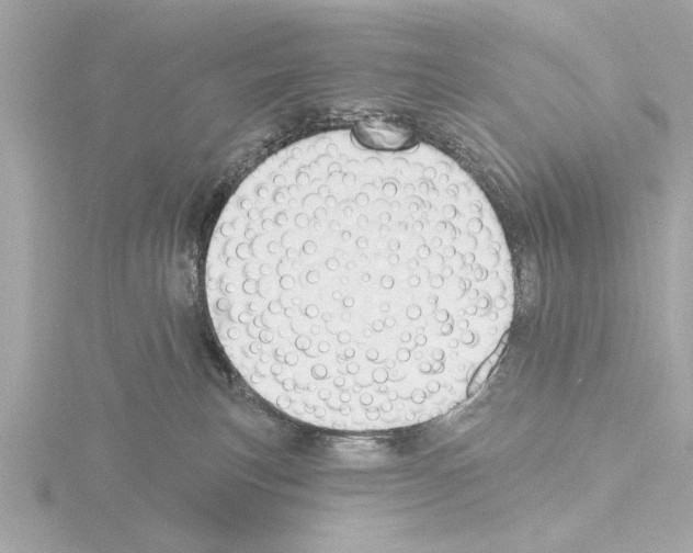 X0000115490183200912181411