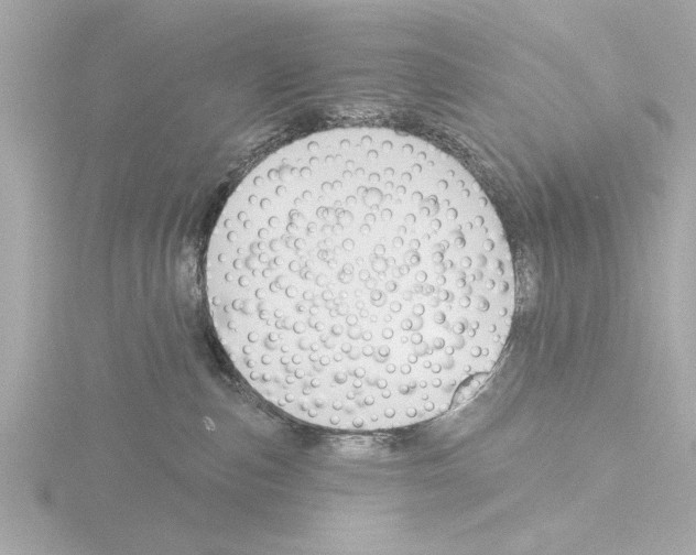 X0000115490187200912181411