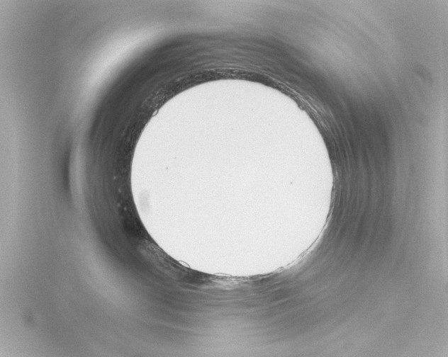 X0000115490190200912181411
