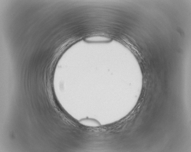 X0000115490193200912181410