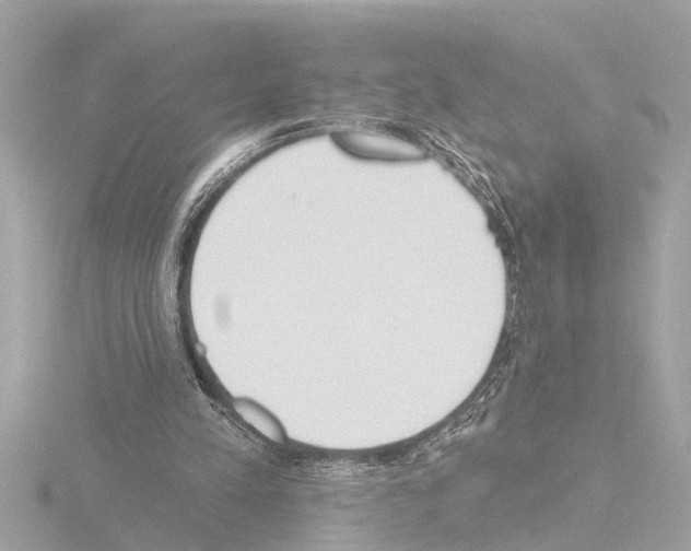 X0000115490197200912181410