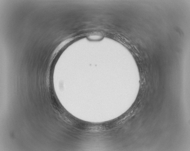 X0000115490200200912181410