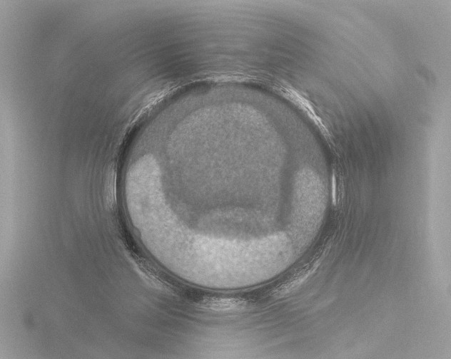X0000115490205200912181410