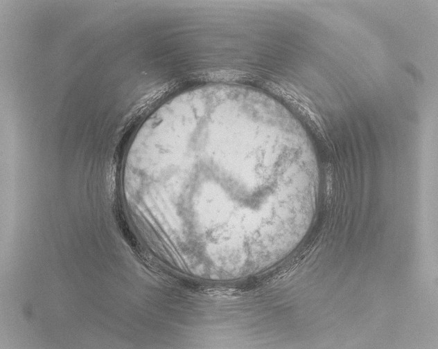 X0000115490206200912181410