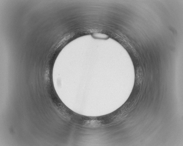X0000115490212200912181410