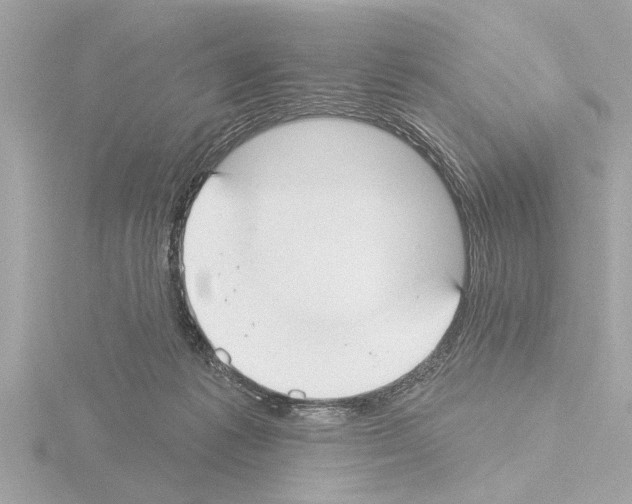 X0000115490221200912181410