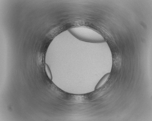 X0000115490233200912181410