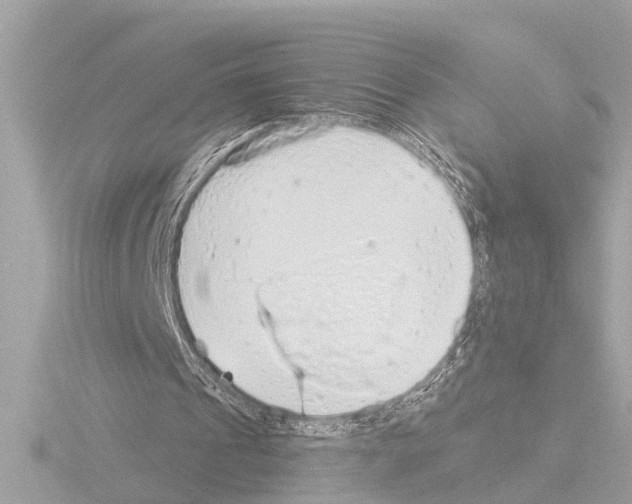 X0000115490241200912181409