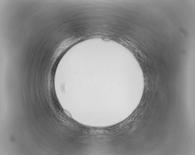 X0000115490242200912181409