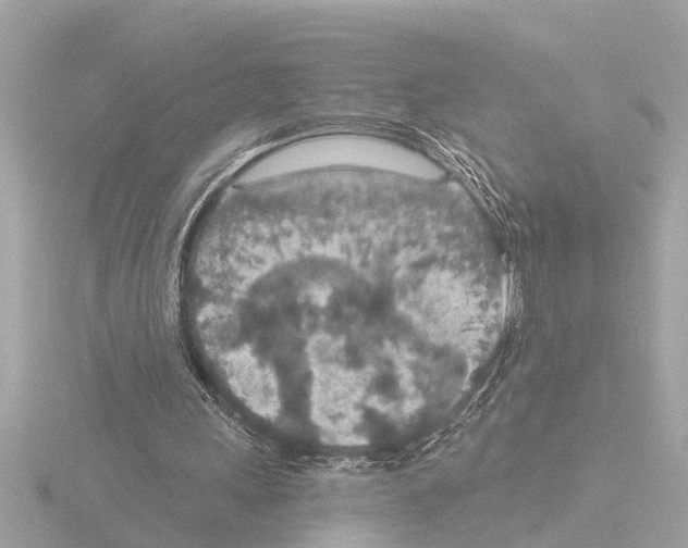 X0000115490243200912181409