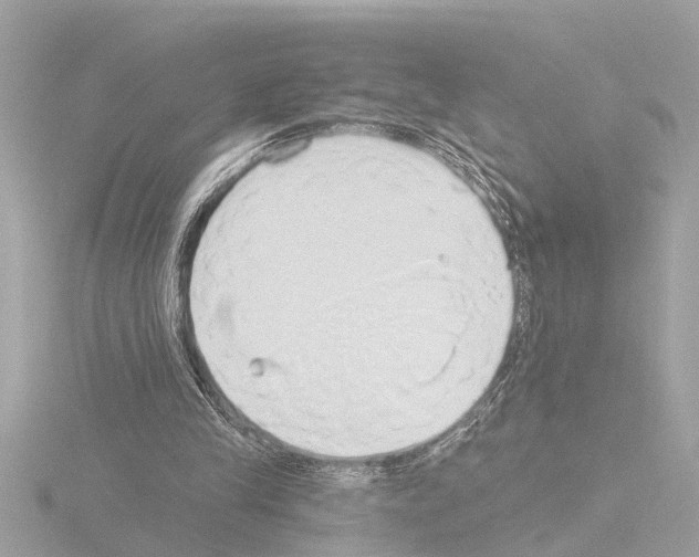 X0000115490245200912181409
