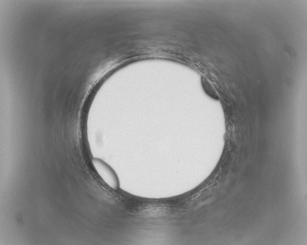 X0000115490248200912181409