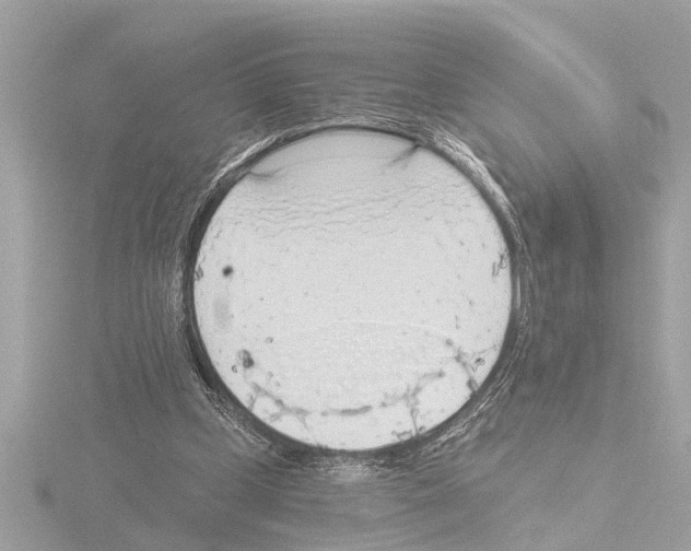 X0000115490249200912181409