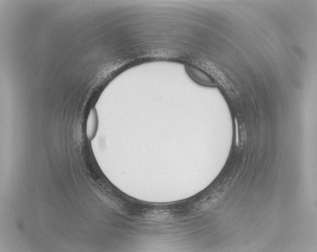 X0000115490252200912181409