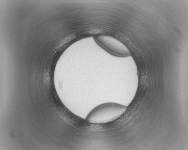 X0000115490256200912181409