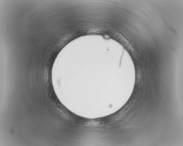 X0000115490257200912181409