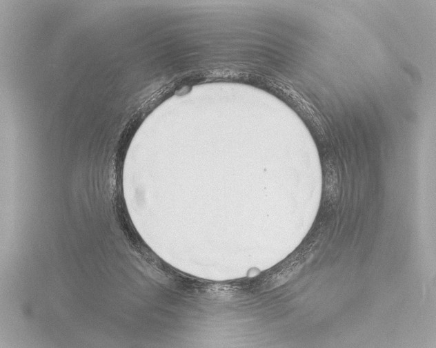X0000115490261200912181409