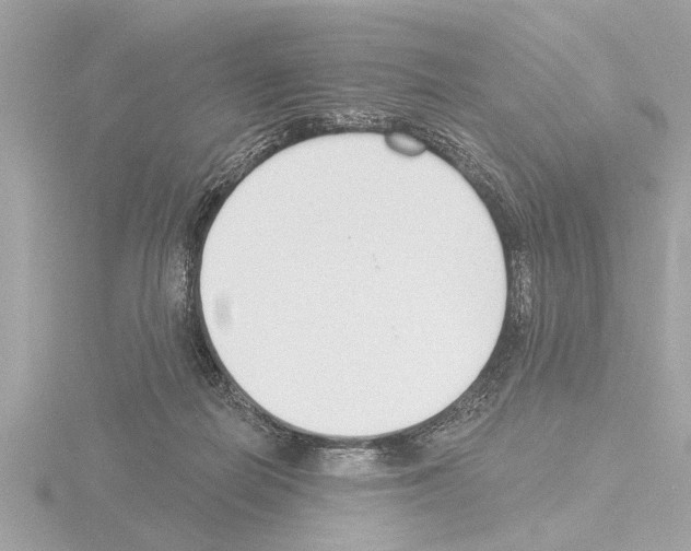 X0000115490266200912181409