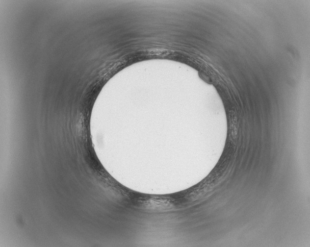 X0000115490270200912181409