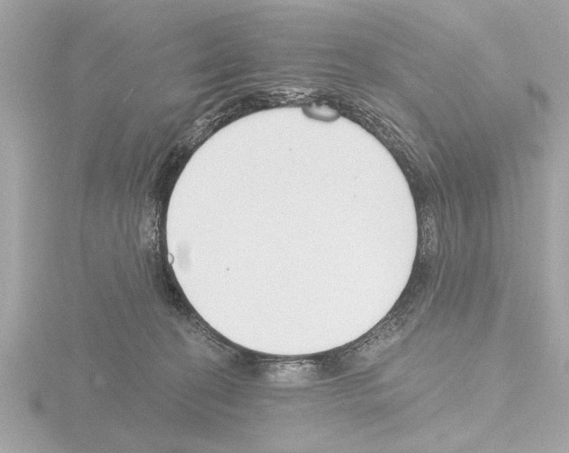 X0000115490274200912181409