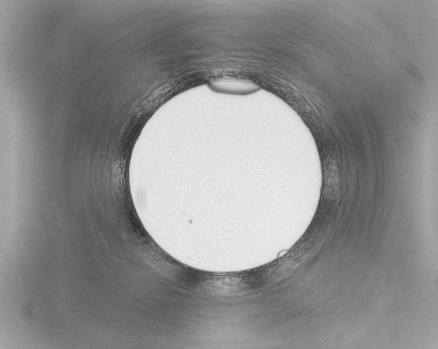 X0000115490278200912181409