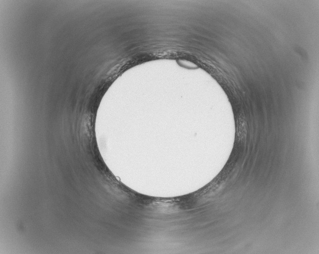 X0000115490280200912181410