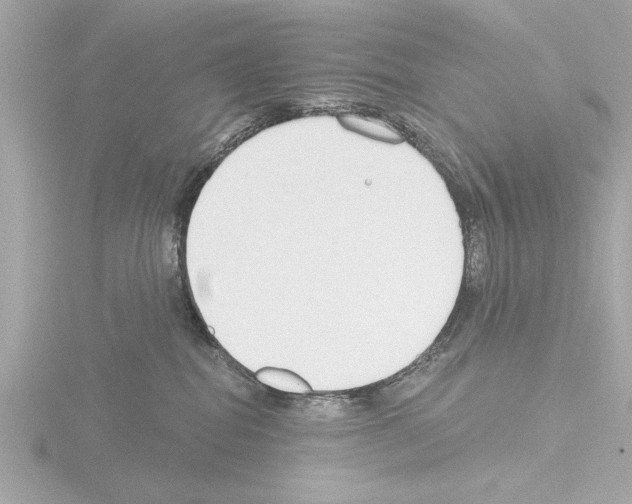 X0000115490282200912181410