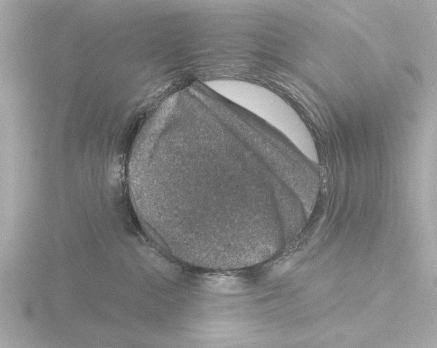 X0000115490284200912181410