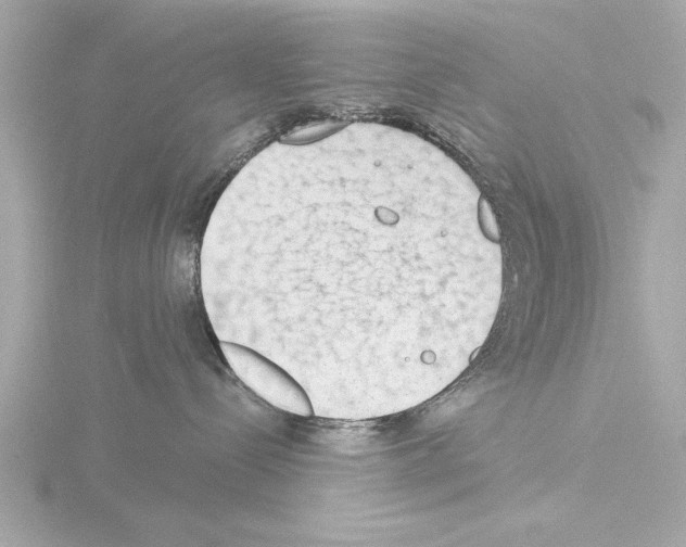 X0000115490288200912181410