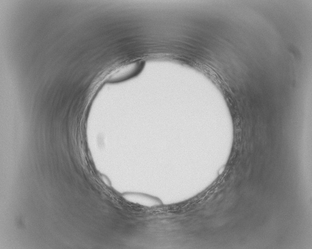 X0000115490289200912181409