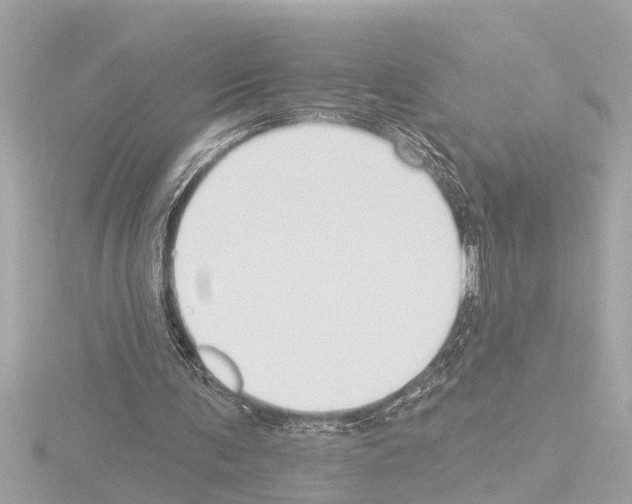 X0000115490291200912181409