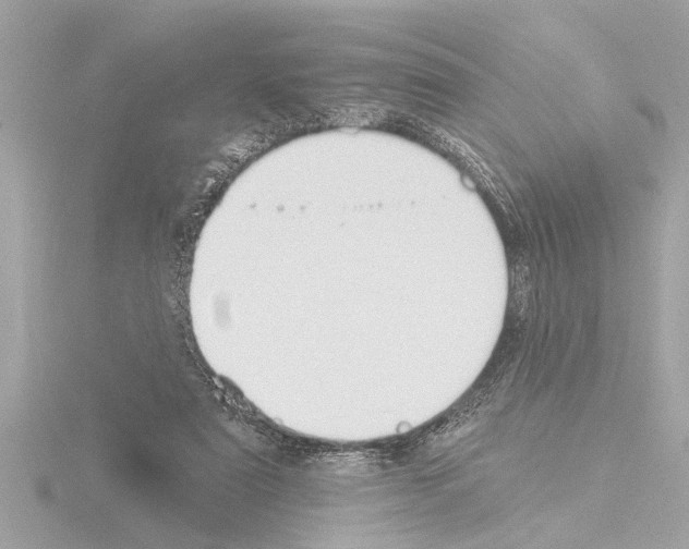X0000115490307200912181409