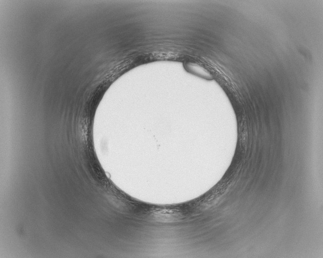 X0000115490315200912181409