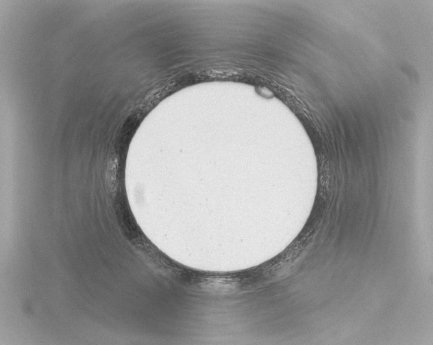 X0000115490319200912181409