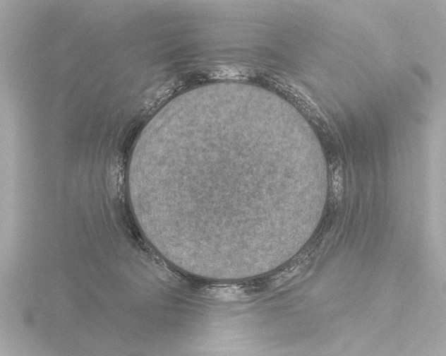 X0000115490322200912181409