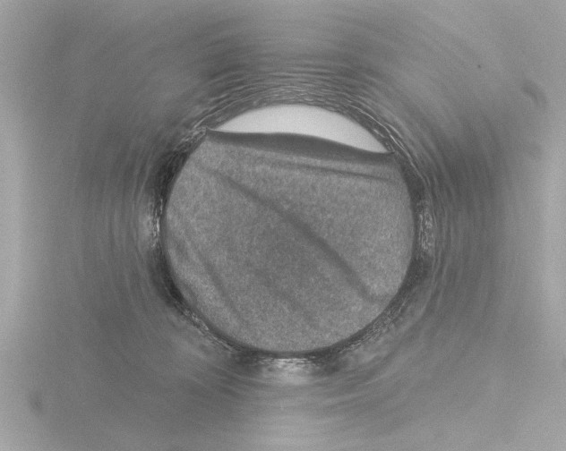 X0000115490324200912181409