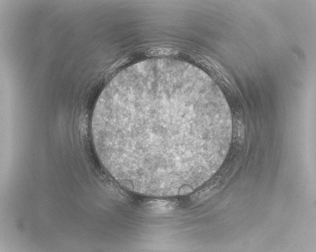 X0000115490326200912181409