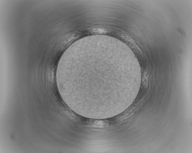X0000115490330200912181408