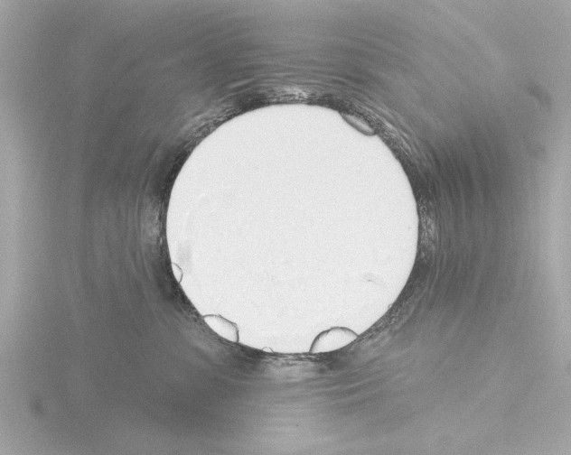 X0000115490331200912181408