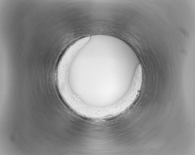 X0000115490336200912181408