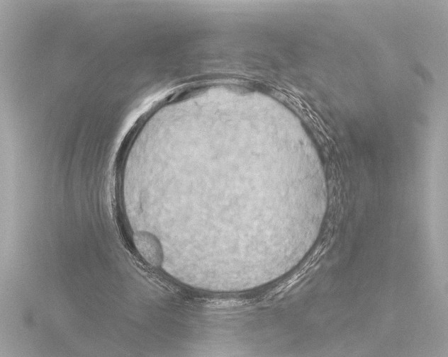 X0000115490342200912181408