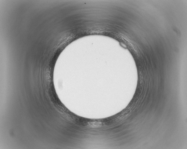 X0000115490362200912181408