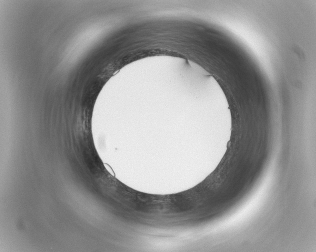 X0000115490382200912181408