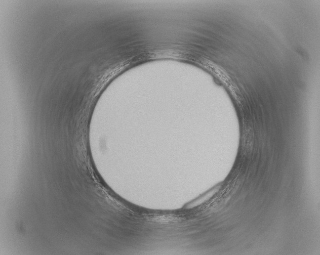 X0000115490385200912181408