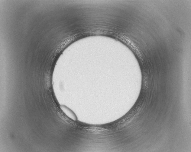 X0000115490393200912181408