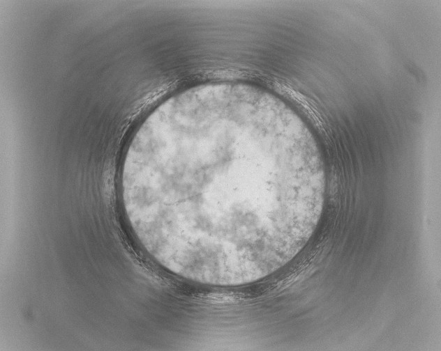 X0000115490394200912181408